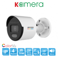 CAMERA IP HIKVISION DS-2CD1047G0-LUF